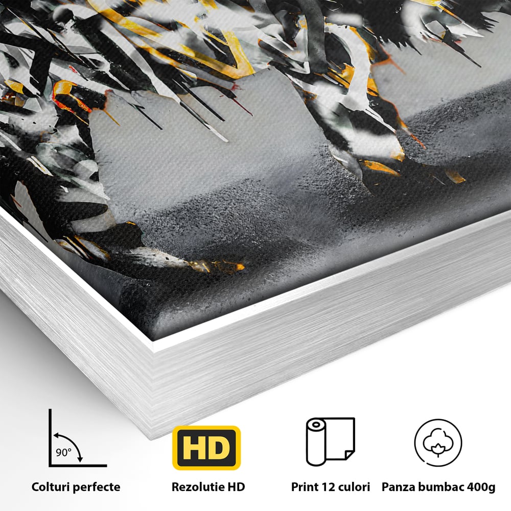 Detaliu al suprafetei: tablou canvas cu leu in stil graffiti, in rama de aluminiu argintiu